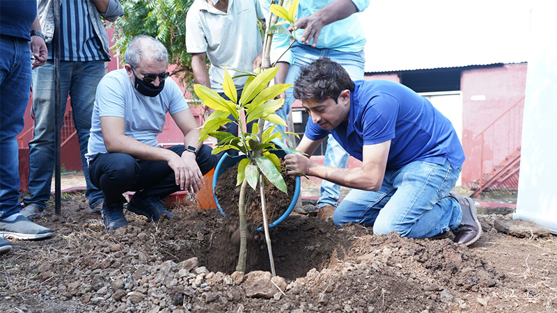 Sybo Games partners with Ecologi to plant 200,000 trees